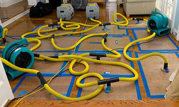 Professional Crawl Space Water Removal technician working in Rushville, IN